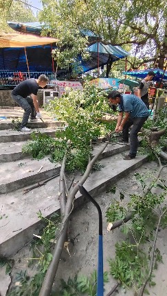 自贡彩灯公园科学应对高温 多举措保障植物生长(图11) 自贡彩灯公园科学应对高温 多举措保障植物生长(图11)