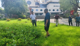 自贡彩灯公园科学应对高温 多举措保障植物生长(图12) 自贡彩灯公园科学应对高温 多举措保障植物生长(图12)
