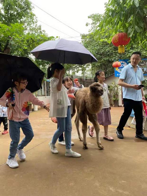 国庆假期文旅体验:安全有序的活动安排和接待数据(图6) 国庆假期文旅体验:安全有序的活动安排和接待数据(图6)