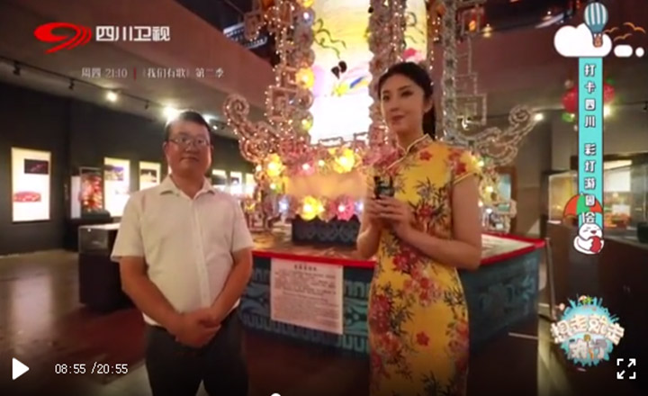 彩灯非遗创新活动 馆园融合主题教育推进复苏(图18)