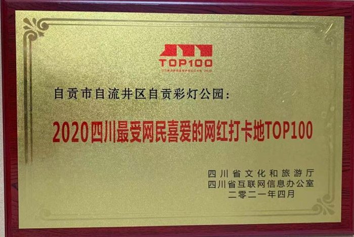 彩灯非遗活力绽放 文化传承影响力升级(图19) 彩灯非遗活力绽放 文化传承影响力升级(图19)