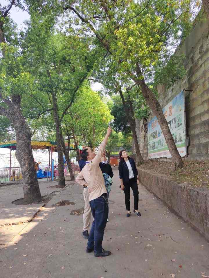 清明节安全生产检查确保游客安全平稳运行(图1) 清明节安全生产检查确保游客安全平稳运行(图1)