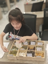 童趣迎端午，粽香飘六一 ——中国彩灯博物馆“双节”文化惠民活动精彩回顾(图6)