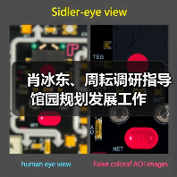 肖冰东、周耘调研指导馆园规划发展工作(图4) 肖冰东、周耘调研指导馆园规划发展工作(图4)