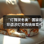 “灯舞贺冬奥”国家级非遗涉灯类传统体育传统舞蹈项目线上展示活动之十二:郧阳凤凰灯舞(图2) “灯舞贺冬奥”国家级非遗涉灯类传统体育传统舞蹈项目线上展示活动之十二:郧阳凤凰灯舞(图2)