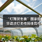 “灯舞贺冬奥”国家级非遗涉灯类传统体育传统舞蹈项目线上展示活动之十二:郧阳凤凰灯舞(图3) “灯舞贺冬奥”国家级非遗涉灯类传统体育传统舞蹈项目线上展示活动之十二:郧阳凤凰灯舞(图3)