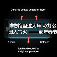 博物馆里过大年 彩灯公园人气火 ——虎年春节“黄金周”馆园文旅活动情况综述(图4) 博物馆里过大年 彩灯公园人气火 ——虎年春节“黄金周”馆园文旅活动情况综述(图4)