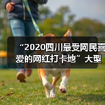 “2020四川最受网民喜爱的网红打卡地”大型网络评选已进入网络投票阶段，快来为自贡彩灯公园投票吧！（图4）