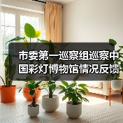 市委第一巡察组巡察中国彩灯博物馆情况反馈会议召开(图1) 市委第一巡察组巡察中国彩灯博物馆情况反馈会议召开(图1)