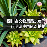 四川省文物局局长唐飞一行调研中国彩灯博物馆(图3) 四川省文物局局长唐飞一行调研中国彩灯博物馆(图3)