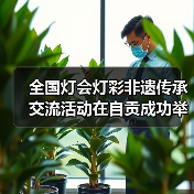 全国灯会灯彩非遗传承交流活动在自贡成功举办(图3) 全国灯会灯彩非遗传承交流活动在自贡成功举办(图3)