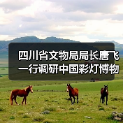 四川省文物局局长唐飞一行调研中国彩灯博物馆(图4) 四川省文物局局长唐飞一行调研中国彩灯博物馆(图4)