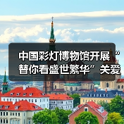 中国彩灯博物馆开展“替你看盛世繁华”关爱烈属活动(图4) 中国彩灯博物馆开展“替你看盛世繁华”关爱烈属活动(图4)