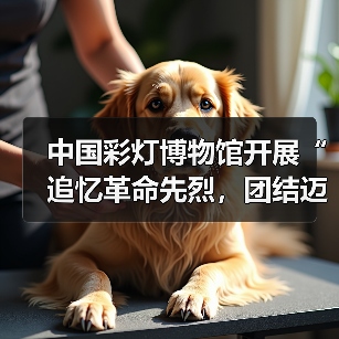 中国彩灯博物馆开展“追忆革命先烈,团结迈向未来”主题党日暨工会活动(图2) 中国彩灯博物馆开展“追忆革命先烈,团结迈向未来”主题党日暨工会活动(图2)