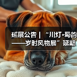 延展公告 | “川灯·蜀韵——岁时风物展”延期至4月6日(图3) 延展公告 | “川灯·蜀韵——岁时风物展”延期至4月6日(图3)