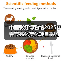 中国彩灯博物馆2025年春节亮化美化项目采购比选公告(图3) 中国彩灯博物馆2025年春节亮化美化项目采购比选公告(图3)