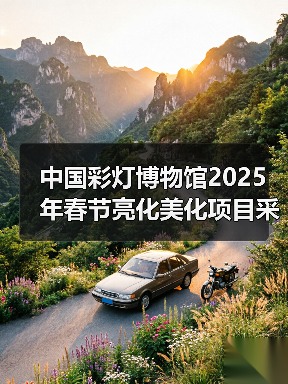 中国彩灯博物馆2025年春节亮化美化项目采购比选公告(图2) 中国彩灯博物馆2025年春节亮化美化项目采购比选公告(图2)