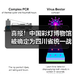 喜报！中国彩灯博物馆被确定为四川省统一战线共识教育现场教学点（图4）