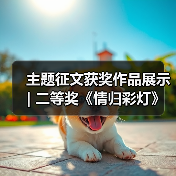 主题征文获奖作品展示 | 二等奖《情归彩灯》(图2) 主题征文获奖作品展示 | 二等奖《情归彩灯》(图2)