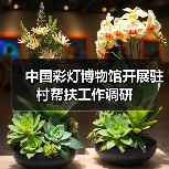 中国彩灯博物馆开展驻村帮扶工作调研（图1）