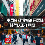 中国彩灯博物馆开展驻村帮扶工作调研（图2）