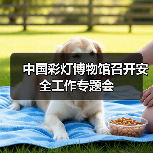 中国彩灯博物馆召开安全工作专题会（图4）