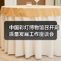 中国彩灯博物馆召开高质量发展工作座谈会(图4) 中国彩灯博物馆召开高质量发展工作座谈会(图4)