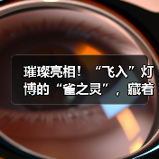 璀璨亮相!“飞入”灯博的“雀之灵”,藏着怎样的故事?(图2) 璀璨亮相!“飞入”灯博的“雀之灵”,藏着怎样的故事?(图2)