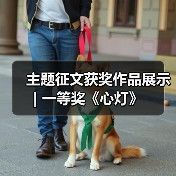 主题征文获奖作品展示 | 一等奖《心灯》（图3）