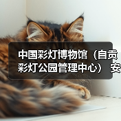 中国彩灯博物馆（自贡彩灯公园管理中心） 安保服务采购比选公告（图1）