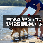 中国彩灯博物馆(自贡彩灯公园管理中心) 安保服务采购比选公告(图2) 中国彩灯博物馆(自贡彩灯公园管理中心) 安保服务采购比选公告(图2)