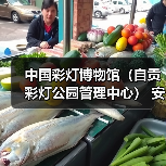 中国彩灯博物馆（自贡彩灯公园管理中心） 安保服务采购比选公告（图3）