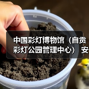 中国彩灯博物馆（自贡彩灯公园管理中心） 安保服务采购比选公告（图4）