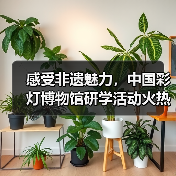 感受非遗魅力,中国彩灯博物馆研学活动火热进行中……(图1) 感受非遗魅力,中国彩灯博物馆研学活动火热进行中……(图1)