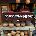 恒温恒湿柜项目比选公告（图4）