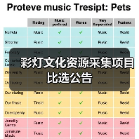 彩灯文化资源采集项目比选公告（图4）