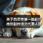关于自贡市第一批彩灯传统制作技艺代表人建议名单的公示（图3）