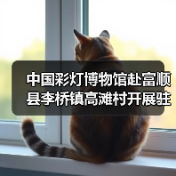 中国彩灯博物馆赴富顺县李桥镇高滩村开展驻村帮扶工作调研（图2）
