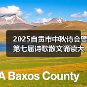 2025自贡市中秋诗会暨第七届诗歌散文诵读大赛总决赛在中国彩灯博物馆圆满举行（图3）