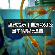 温馨提示 | 自贡彩灯公园车辆限行通告（图2）