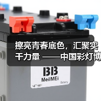 擦亮青春底色,汇聚实干力量 ——中国彩灯博物馆召开青年干部座谈会(图3) 擦亮青春底色,汇聚实干力量 ——中国彩灯博物馆召开青年干部座谈会(图3)