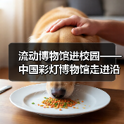 流动博物馆进校园——中国彩灯博物馆走进沿滩区联络镇中心小学校、富顺县李桥镇高滩九年制学校、荣县正安学校（图2）