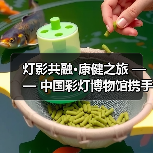 灯影共融·康健之旅 —— 中国彩灯博物馆携手四川卫生康复职业学院开展志愿服务活动（图2）