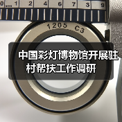 中国彩灯博物馆开展驻村帮扶工作调研(图3) 中国彩灯博物馆开展驻村帮扶工作调研(图3)