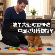 “端午共聚 粽香情浓”——中国彩灯博物馆举办端午节活动（图4）