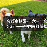 彩灯童梦园•“六一”欢乐行 ——中国彩灯博物馆开展庆“六一”儿童节活动(图2) 彩灯童梦园•“六一”欢乐行 ——中国彩灯博物馆开展庆“六一”儿童节活动(图2)