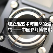 建立起艺术与自然的连结——中国彩灯博物馆开展动植物科普探索活动(图3) 建立起艺术与自然的连结——中国彩灯博物馆开展动植物科普探索活动(图3)