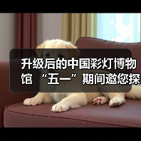 升级后的中国彩灯博物馆 “五一”期间邀您探索灯文化魅力(图2) 升级后的中国彩灯博物馆 “五一”期间邀您探索灯文化魅力(图2)