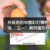 升级后的中国彩灯博物馆 “五一”期间邀您探索灯文化魅力(图4) 升级后的中国彩灯博物馆 “五一”期间邀您探索灯文化魅力(图4)