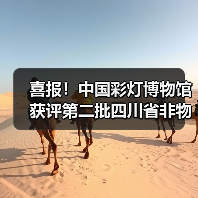 喜报!中国彩灯博物馆获评第二批四川省非物质文化遗产保护传承基地(图2) 喜报!中国彩灯博物馆获评第二批四川省非物质文化遗产保护传承基地(图2)